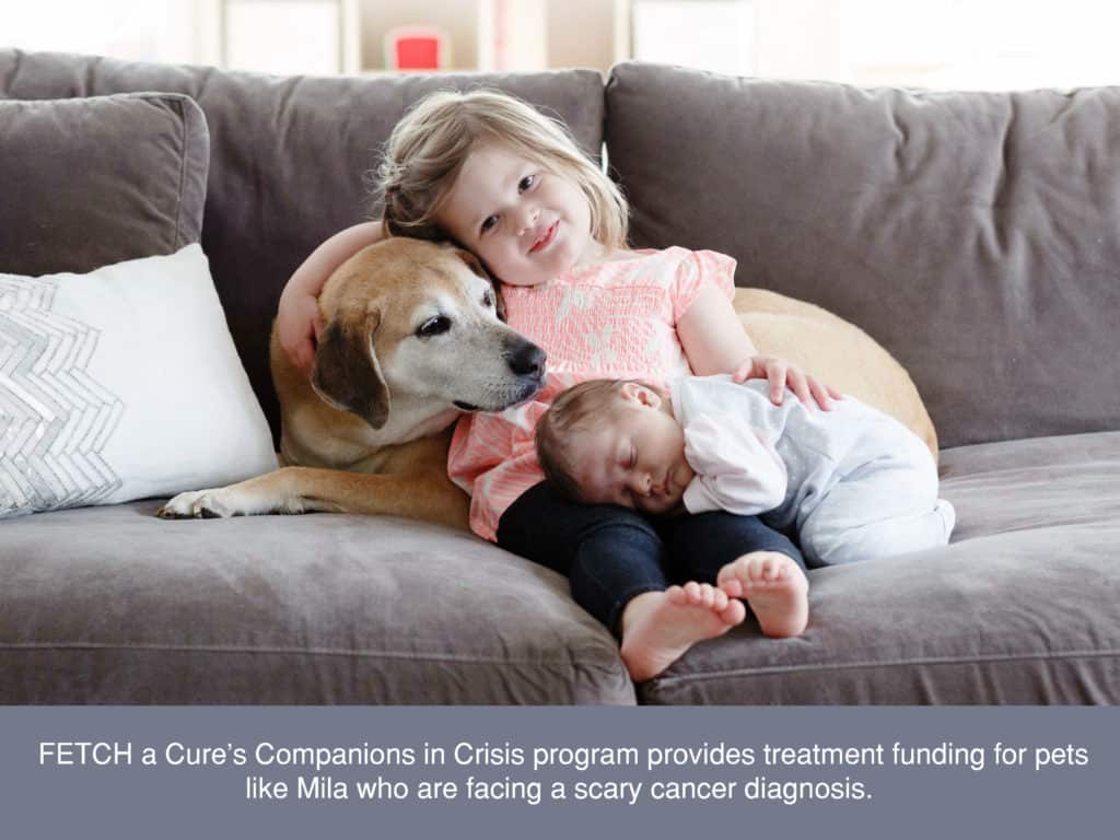 Mila Markowitz with her siblings on the couch